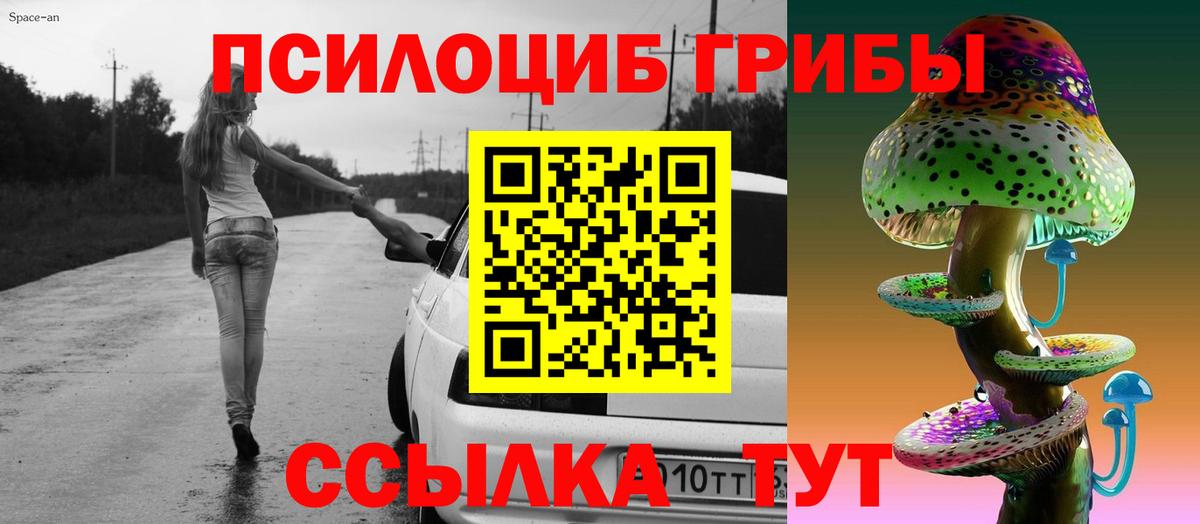 Псилоцибиновые грибы Cubensis Воркута