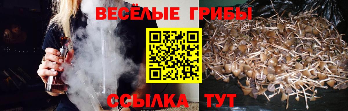 Псилоцибиновые грибы MAGIC MUSHROOMS  Галлюциногенные грибы ЛСД  Вход с VPN  Воркута 